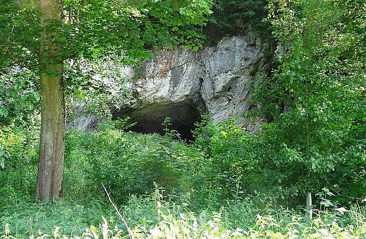 Hohlefels